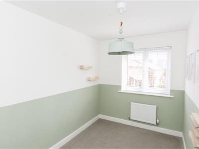 Picture 11